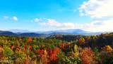  Fantasy Way - Photo 11