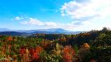  Fantasy Way - Photo 12