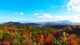  Fantasy Way - Photo 2