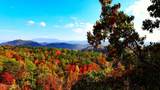 Fantasy Way - Photo 5