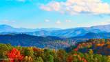  Fantasy Way - Photo 6