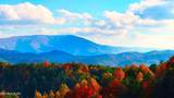  Fantasy Way - Photo 9