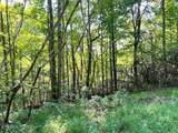 Tract 8 Faith Mtn Way - Photo 11
