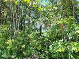Tract 8 Faith Mtn Way - Photo 12