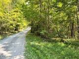 Tract 8 Faith Mtn Way - Photo 7