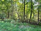 Tract 8 Faith Mtn Way - Photo 8