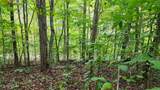  119 Lot Laurel Way - Photo 9