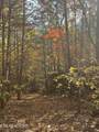 101 Cherokee Path - Photo 8