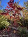 109 Cherokee Path - Photo 29
