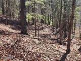  Deer Pond Circle - Photo 7