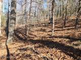  Deer Pond Circle - Photo 8