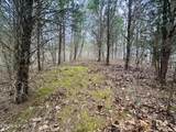  Sugar Loaf -13.5 Acres Rd - Photo 10
