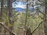  Sugar Loaf -13.5 Acres Rd - Photo 11