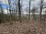  Sugar Loaf -13.5 Acres Rd - Photo 12