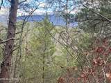  Sugar Loaf -13.5 Acres Rd - Photo 14