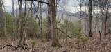  Sugar Loaf -13.5 Acres Rd - Photo 15