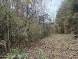  Sugar Loaf -13.5 Acres Rd - Photo 16