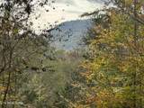  Sugar Loaf -13.5 Acres Rd - Photo 4