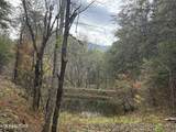  Sugar Loaf -13.5 Acres Rd - Photo 8