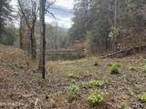  Sugar Loaf -13.5 Acres Rd - Photo 9