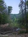 1693 Steve Brown Rd - Photo 17