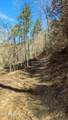  Carrs Creek Rd - Photo 12