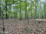  1.01Ac Hiwassee View Drive - Photo 10