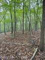  1.01Ac Hiwassee View Drive - Photo 12