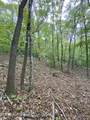  1.01Ac Hiwassee View Drive - Photo 13