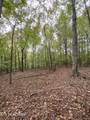  1.01Ac Hiwassee View Drive - Photo 15