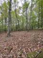  1.01Ac Hiwassee View Drive - Photo 16