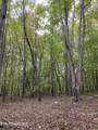  1.01Ac Hiwassee View Drive - Photo 17