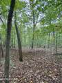  1.01Ac Hiwassee View Drive - Photo 19