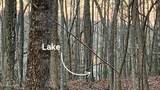  1.01Ac Hiwassee View Drive - Photo 3