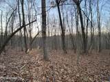  1.01Ac Hiwassee View Drive - Photo 6
