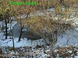 TBD Wilderness Rd - Photo 3