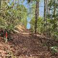 116 Stonegate Way - Photo 4