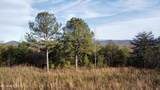 0 Curtis Rd - Photo 9
