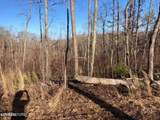  Bench Rd.  34.97 Acres - Photo 19
