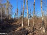  Bench Rd.  34.97 Acres - Photo 25