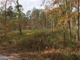  Bench Rd.  34.97 Acres - Photo 29