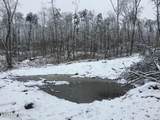  Bench Rd.  34.97 Acres - Photo 31