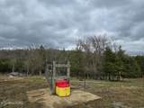 4029 Paw Paw Rd - Photo 11