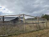 4029 Paw Paw Rd - Photo 12
