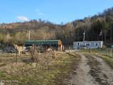 4029 Paw Paw Rd - Photo 3