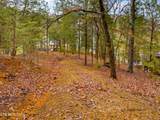 Lot 2 Needles Way - Photo 10