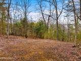 Lot 2 Needles Way - Photo 12