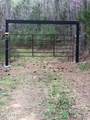 0 Lick Creek Rd - Photo 1