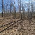0 Lick Creek Rd - Photo 14