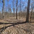 0 Lick Creek Rd - Photo 15